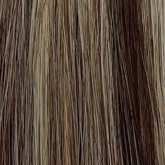 Balayage Color 1A/1A+60ash