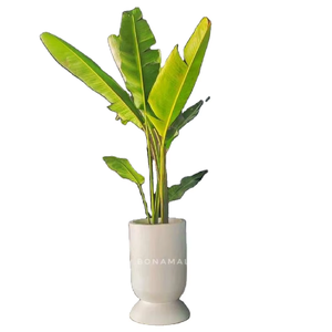 Pots de fleurs ronds en plastique Transparent respirant avec trous de drainage Jardinières de semis durables pour l'utilisation du jardin à la maison - Product Image 2