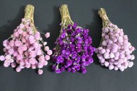 Herbe de la Pampa Artificielle Séchée Très Demandée pour la Décoration de la Fête des Mères, la Saint-Valentin, Noël et Halloween