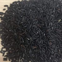 Riz gluant du Vietnam 5% cassé/noir gluant/collant/riz noir Riz Rise Riso Arroz/sac sous vide 1kg 2kg / ANNA DO VILA