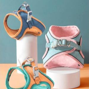 Correa para Perro Simple, Duradera, Ajustable, Reflectante, Acolchada y Lavable, con Cierre de Hebilla, de Poliéster/Nailon, Tamaño Pequeño, Hecha en Vietnam - Product Image 6