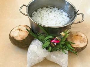 Vente chaude gelée de noix de coco douce en vrac saveur entière conservée dans l'eau cuite Style pour l'exportation à bas prix - Product Image 6