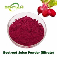 Poudre de jus de betterave (nitrate) Poudre de betterave rouge de qualité alimentaire Nitrate naturel Vente en gros en vrac Fournisseur d'usine