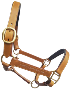 Dernier AL RAHMAN TACKS AL-LH-079 Cheval Halter Équestre Entièrement Confortable Ajustable Pur Cuir Véritable Cheval Formation Halter - Product Image 6
