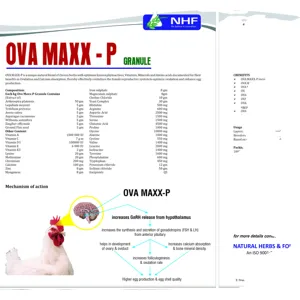 Eierproductieversterker Voor Pluimveevogels Optimaliseert De Ovulatie En Eiproductie In Lagen En Fokkers Verbetert-Ova Maxx P