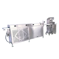 Machine à tempérer le chocolat industrielle automatique PAPA, nouvelle, certifiée CE, haute productivité, alimentée par USB, 220V, 30L, biscuits, noix