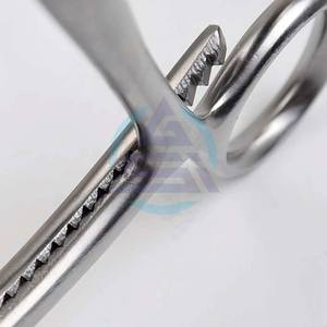 Stainless Steel Manual Bone Reduction Forceps <b>Orthopedic</b> Curved <b>Surgical</b> Long Ratchet Pointed Jaw <b>Instruments</b> - Product Image 5