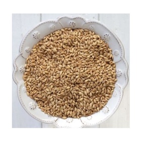 Cebada sin cáscara seca orgánica de alta calidad a la venta - Product Image 4