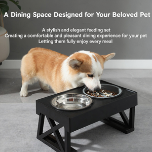 Raised Dog Bowl Stand with Stainless Steel Water Bowl and <b>Slow</b> <b>Feeder</b> Adjustable Height Elevated Feeding Station - Product Image 4