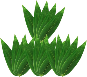 HOJAS DE BAMBÚ ECOLÓGICAS/RECETA FAMILIAR/VALOR ASEQUIBLE/HECHO EN VIETNAM - Product Image 3