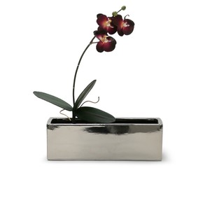 CBR1244XX - Rectángulo Largo Texturizado - 12x4x4 (Varios Colores) - Product Image 6