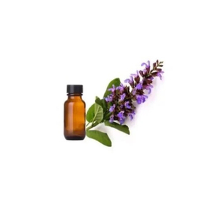 Aceite esencial de extracto de salvia natural puro 100% orgánico de grado terapéutico de etiqueta privada OEM - Product Image 1