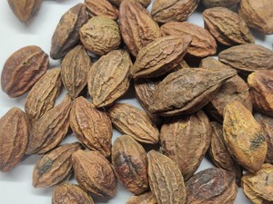 Terminalia Chebula Amarilla a Granel - Marca Apex, 24 Meses de Duración, Procedente de Rajasthan, India, Almacenamiento en Seco y Fresco - Product Image 4