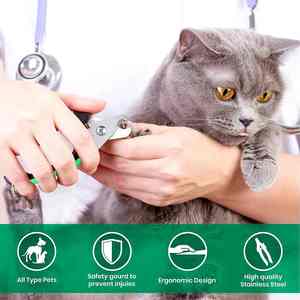 Kit de aseo de cortaúñas de precisión para mascotas Lima de uñas de acero inoxidable gratis de marca personalizada para instrumento quirúrgico veterinario - Product Image 4
