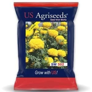ส่วนประกอบดอกไม้ SW 502 MARIGOLD - Product Image 6