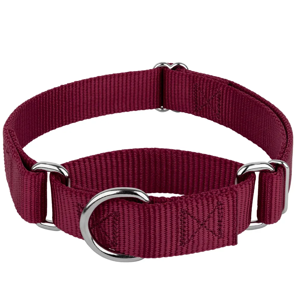 Collier en Nylon Pastel réglable d'excellente qualité pour chien, boucle en métal, grand chien Martingale, collier en cuir pour chien, vente en gros