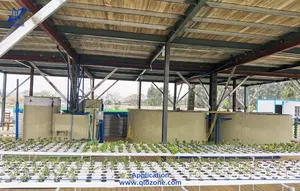QihangRAS su arıtma makineleri recirculating ras balık yetiştiriciliği ekipmanları su ürünleri akupunktur sistemi