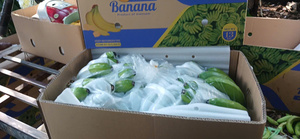 FRESH CAVENDISH BANANA VERDE PROVEEDORES DE EXPORTACIÓN DE VIETNAM BLUE LOTUS PRECIO BARATO 2025 - Product Image 6