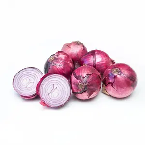 Latest Arrival Fresh Onion Premium Quality Red Onion Available At Wholesale Price From USA