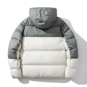 Chaqueta Acolchada de Alta Gama para Hombre, Cuello Alto, Diseño de Burbujas, Temporada de Invierno 2025, Mejor Material, Estilo Urbano, Envío DDP - Product Image 2