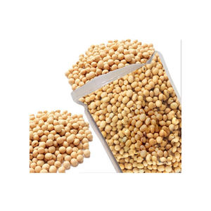 Soja jaune riche en protéines Culture biologique sans OGM du Brésil Fèves de soja emballées en vrac au meilleur prix - Product Image 6