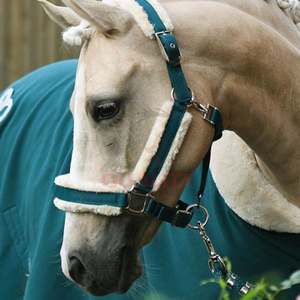 Brida de caballo de cuero estilo inglés con Halter ideal para uso en exteriores artesanal con precisión usando materiales de primera calidad - Product Image 5