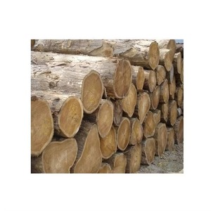 Tronco de madera duro redondo de teca al por mayor con el precio más barato - Product Image 5