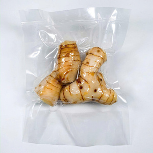 HOT DEAL REBANADAS DE GALANGAL CONGELADAS CALIDAD PREMIUM A GRANEL SUMINISTRO AL POR MAYOR PRODUCTO DE EXPORTACIÓN DE ESPECIAS NATURALES TOP VENTAS MEJOR PRECIO OFERTA - Product Image 3
