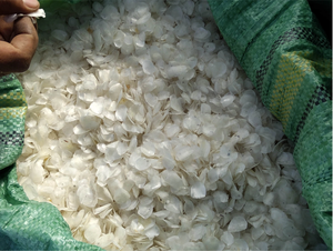 เกล็ดปลาแห้งจากเวียดนามวัตถุดิบคอลลาเจนสำหรับอุตสาหกรรมอาหารการผลิตเครื่องสำอางและผลิตภัณฑ์เสริมสุขภาพ - Product Image 3