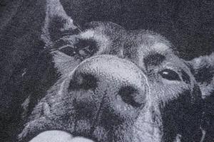 Men's Oversized Acid Wash Pullover <b>Sweatshirt</b> <b>Vintage</b> Streetwear Doberman-Inspired Embroidered Graphic 100% Cotton Winter Custom - Product Image 2