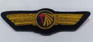 Ecussons Wok brodés à la main, patchs en tissu avec attache magnétique, emblèmes en fil métallique à coudre - Product Image 3