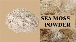 ผงมอสจากทะเลธรรมชาติอาหารเสริมจากพืชเพื่อการสนับสนุนภูมิคุ้มกันและการย่อยอาหาร - Product Image 2