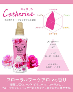 Date Wholesales Fabriqué au Japon LION SOFLAN Aroma Rich Catherine Laundry Assouplissant 480mL en vrac - Product Image 2