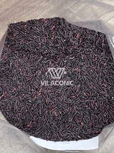 Black rice Healthy rice 1kg 2kg 5kg from direct rice milling <b>plant</b> in Vietnam [Sandra Vilaconic] - Product Image 3