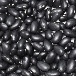Frijoles Negros Pequeños/Grandes de Calidad de Exportación |   100% Puro, Limpio, de Primera Calidad, Orgánico, Ligero, con Puntos, Almacenado en Seco, 24 Días de Duración - Product Image 4