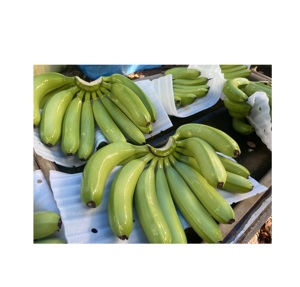 Plátano Cavendish verde fresco de alta calidad en Vietnam/plátano fresco agricultura exportación comida fruta - Product Image 1