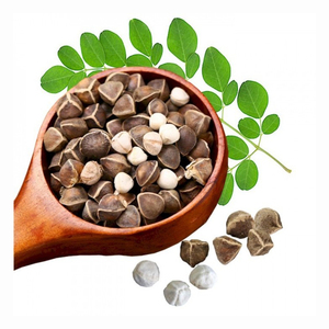 ผงสกัดใบมะรุมสมุนไพรที่ผ่านการรับรอง ผงสกัดเมล็ดมะรุม สีเขียวอ่อน - Product Image 5