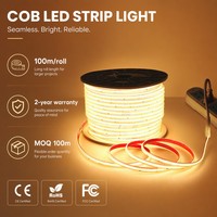 Bande lumineuse LED COB AC 110V/220V, étanche IP65, rouleau de 100m, 296 LED/m, lumière linéaire haute tension pour projets extérieurs