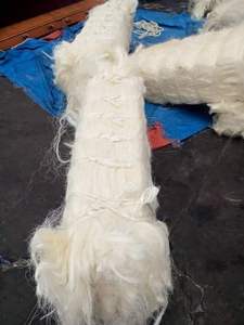 Top exporteur de fibres de Sisal brut 100% naturel en Europe provenant directement d'autriche - Product Image 4