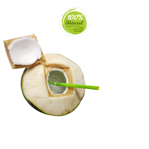 มะพร้าวสดจากธรรมชาติรสชาติธรรมชาติผลิตภัณฑ์ทางการเกษตรเวียดนามเพื่อประสบการณ์ที่สดชื่น - Product Image 3