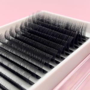 Precio barato Volume Lash Fans Korean PBT Fiber Box 12 Line Stable Curl Handmade Wrap Lash Fans Mink Ultra Dark - Product Image 4