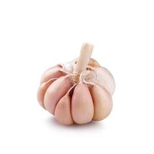 Ajo Entero Pelado Fresco y Natural OrgaLeading, 10 kg, 5 cm, Origen Tailandés, Proveedor para Uso Alimentario - Product Image 3