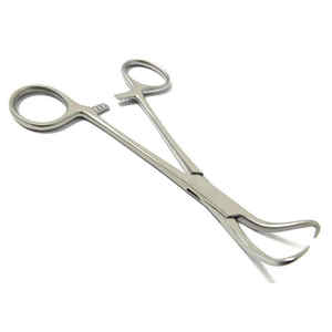 Instruments Produits Dentaires Équipement Médical Vétérinaire Premium Acier Inoxydable Backhaus Serviette Pinces Pinces Chirurgicales - Product Image 4
