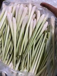 Tiges et feuilles de citronnelle congelées fraîches de haute qualité coupées ou tranchées IQF pour la cuisson et le thé Origine du Vietnam - Product Image 4