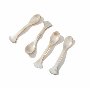 Cuillères en nacre de qualité supérieure, petites cuillères à caviar, ensemble de vaisselle durable en vrac pour les restaurants de fruits de mer, la restauration, les cadeaux - Product Image 5