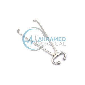 Soporte de toro hecho a medida Soporte de toro de alta calidad Material de acero inoxidable Soporte de toro para venta en línea - Product Image 3