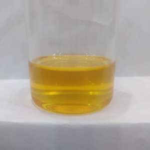 100% aceite esencial puro de Costmary al por mayor aceite esencial de Costmary a granel aceite natural y puro de Costmary - Product Image 1