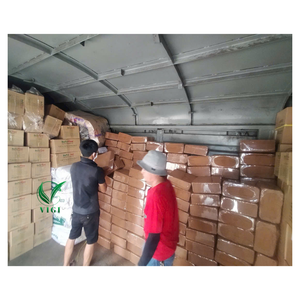 Venta al por mayor de ladrillo de coco de Vietnam, material de cultivo comprimido para granjas ecológicas y suministro de paisajismo - Product Image 6