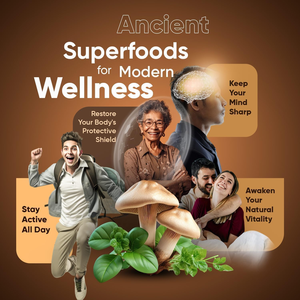 ผู้ผลิตจีน ขายส่ง รับผลิตแบบ OEM แบรนด์ส่วนตัว อาหารเสริมสมุนไพร ออร์แกนิค กาแฟเห็ดสำเร็จรูป 10 in 1 แบบผง จำนวนมาก - Product Image 5