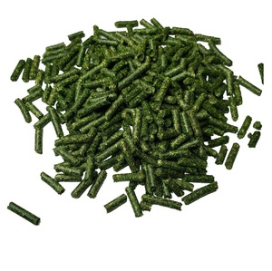 Granulés d'alfalfa de qualité supérieure à vendre, commandes en gros disponibles, livraison rapide, prix compétitifs pour l'alimentation animale et l'élevage. - Product Image 6